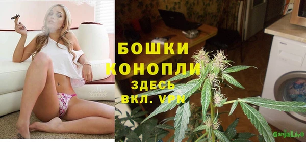 скорость Новозыбков
