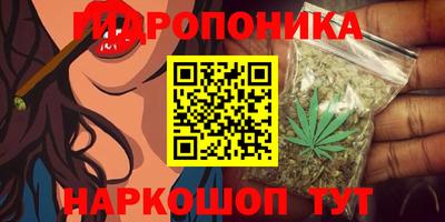 эйфоретик Донской