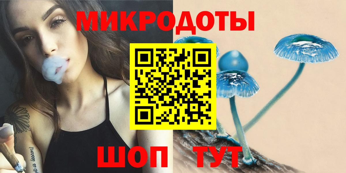 Тара  Псилоцибиновые грибы мицелий  Вход с VPN 