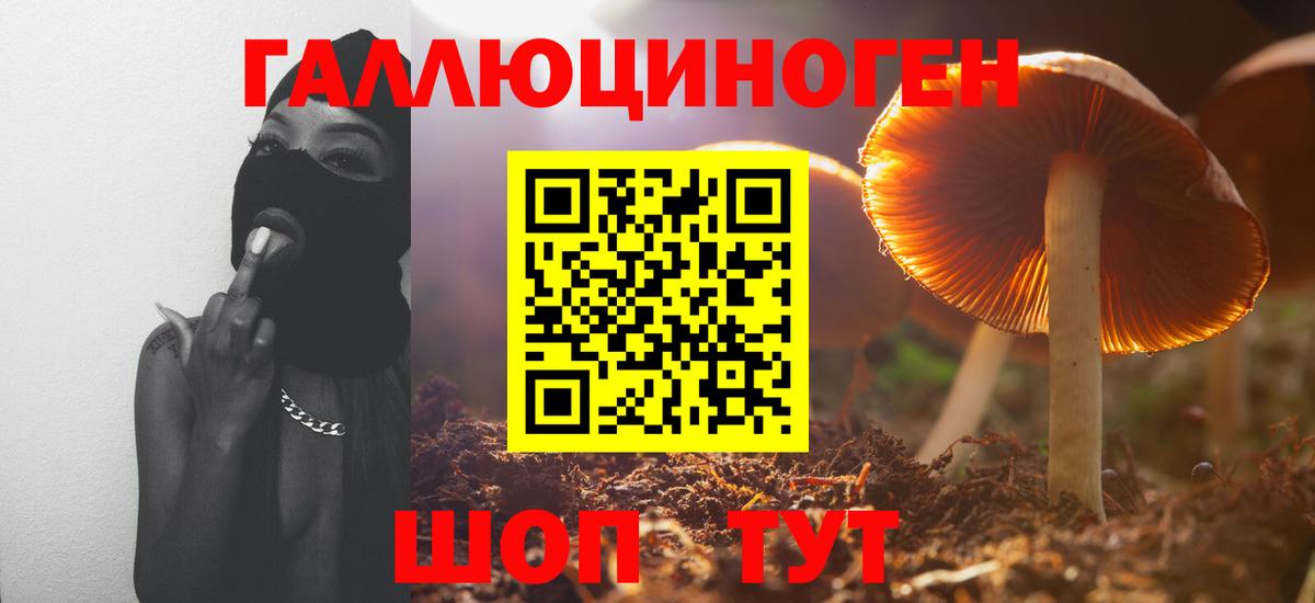 Псилоцибиновые грибы мицелий  Псилоцибиновые грибы Magic Shrooms  Тара 