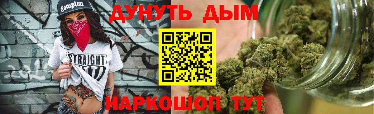 Тара  Марихуана конопля  Шишки марихуана планчик  Вход с VPN  Шишки марихуана Bruce Banner 
